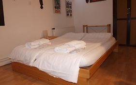 Attic Apartment City Center